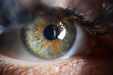 Auge Close Up H Co Shutterstock 1772234642 Scaled