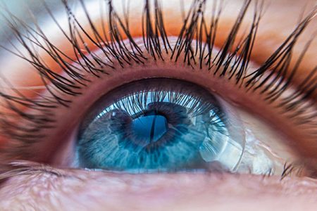 Für wen sind Kontaktlinsen geeignet? Shutterstock 1721939431